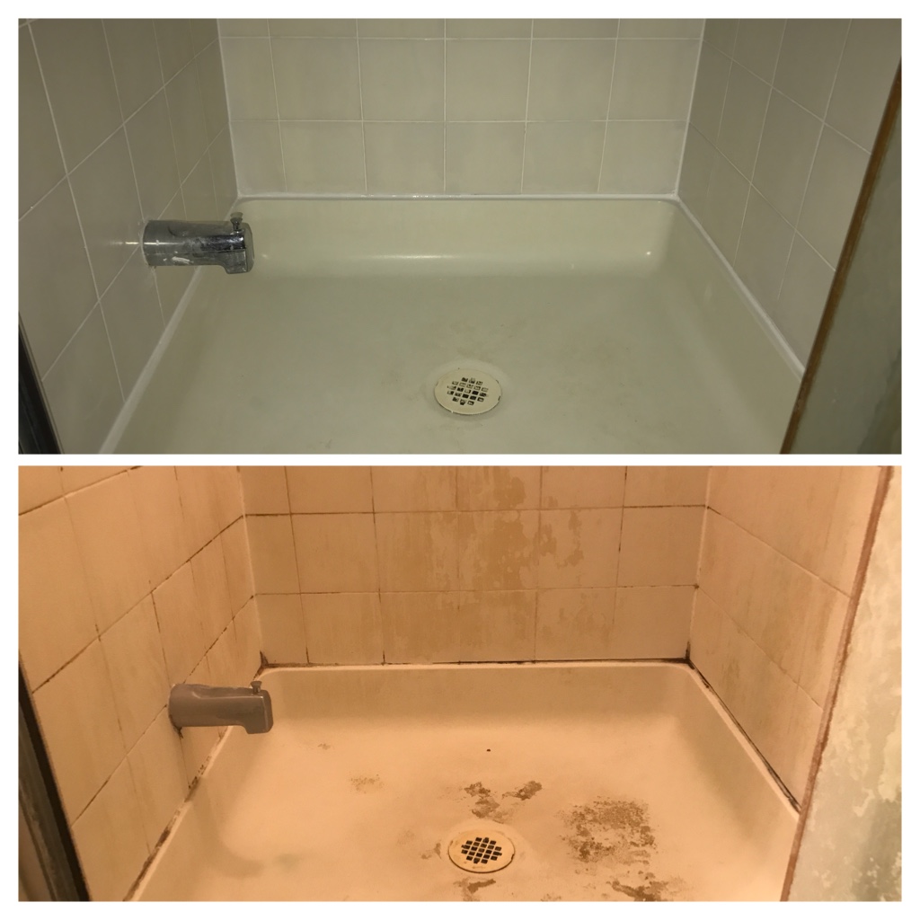 Cleaning shower mold Toronto